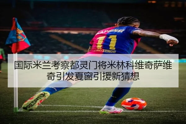 国际米兰考察都灵门将米林科维奇萨维奇引发夏窗引援新猜想